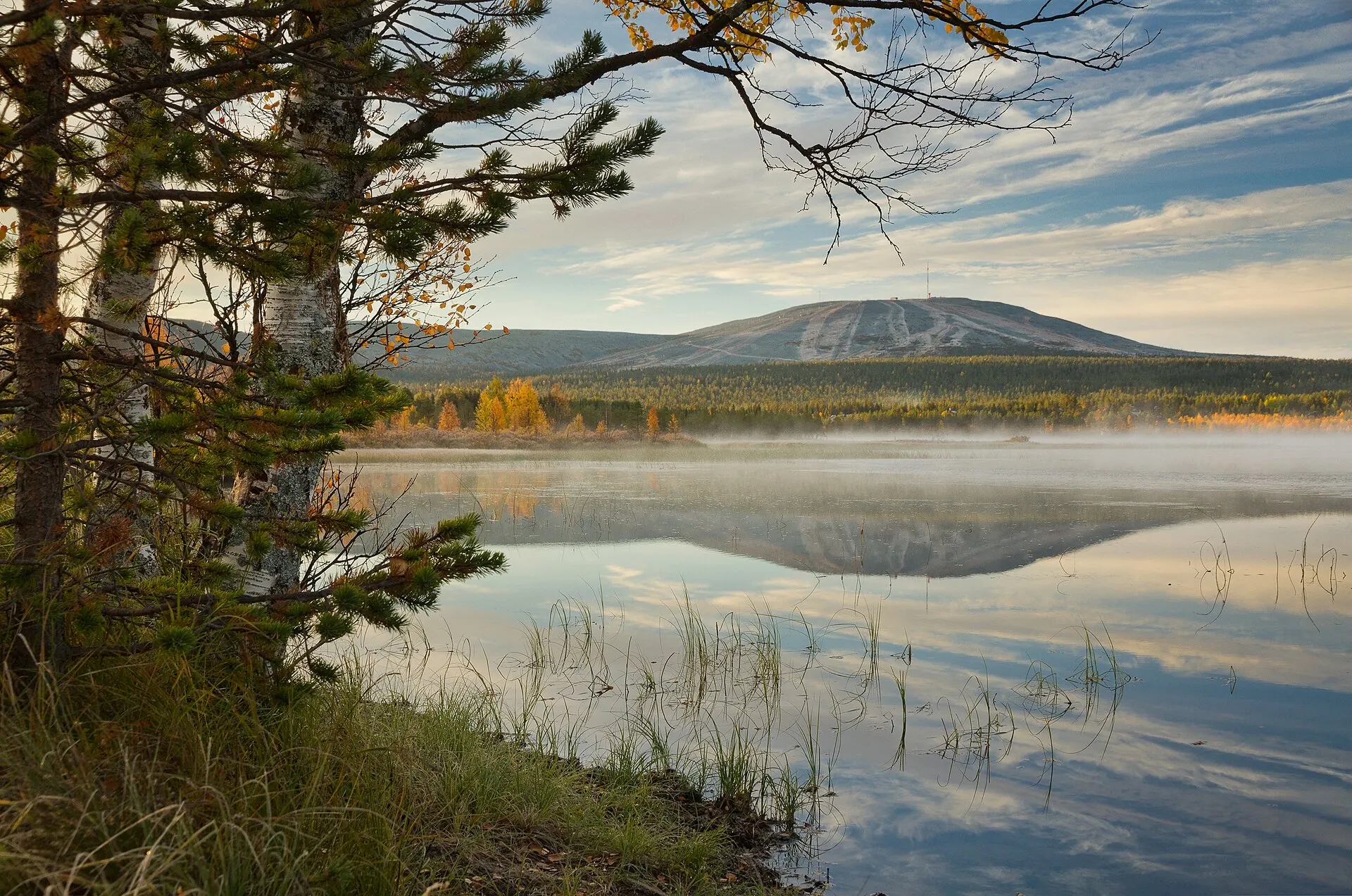 Usvainen järvimaisema aamulla
